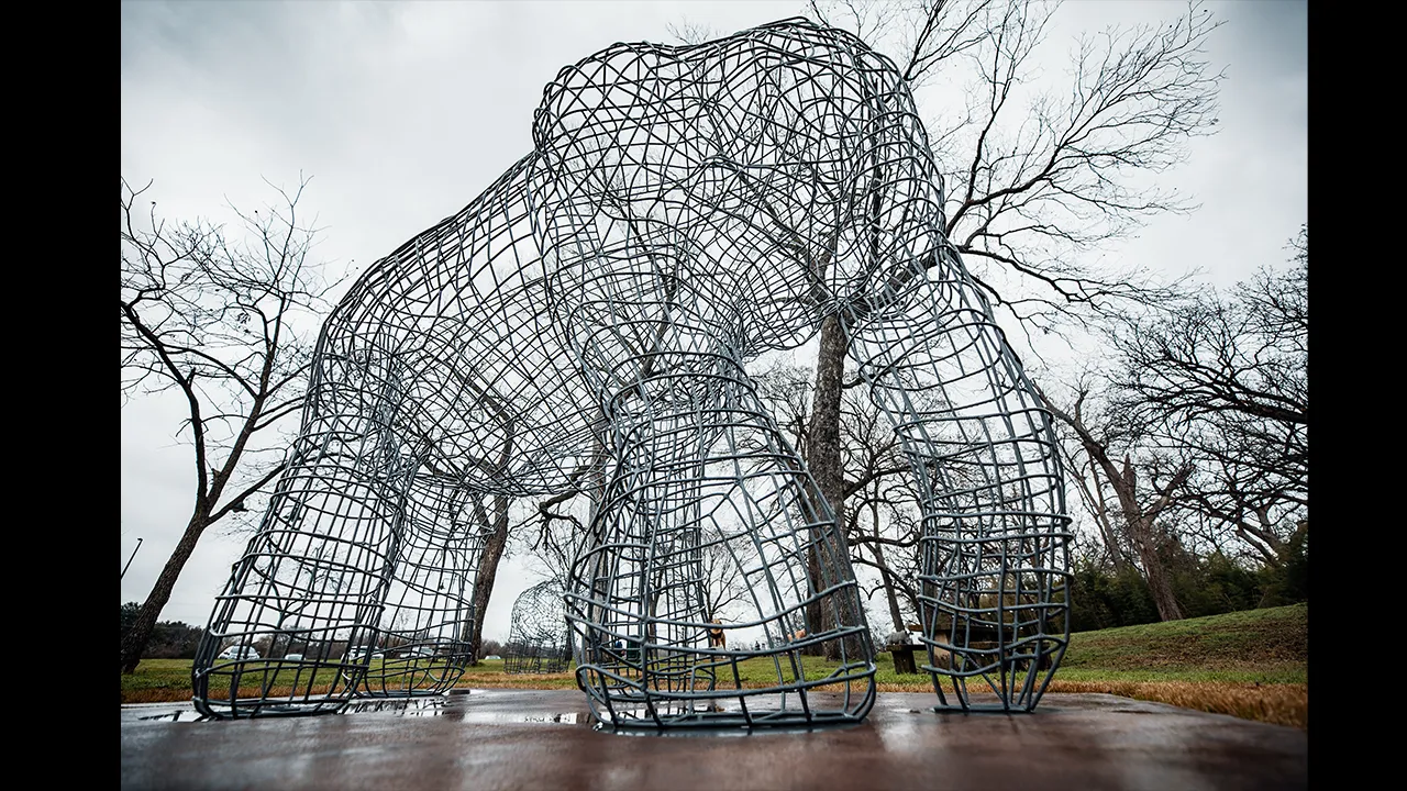 Afro-Pach Patch sculptures Waaco Riverfront Zoo by Andrew F. Scott 2019